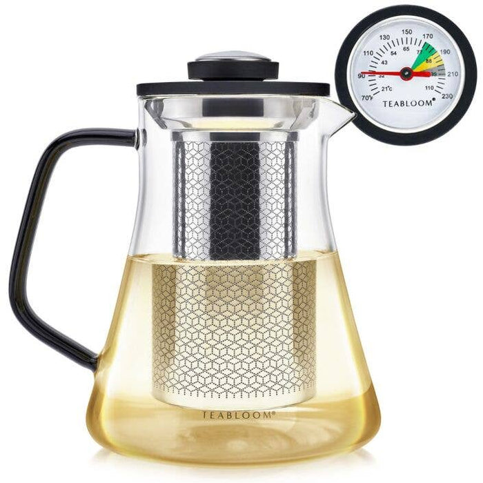 2-in-1 Tea Kettle and Tea Steeper