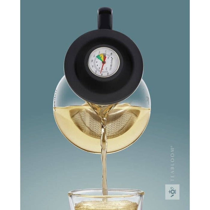 2-in-1 Tea Kettle and Tea Steeper