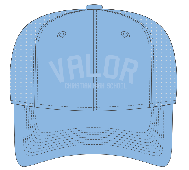 3D Embroidered Performance Hat - Col. Blue