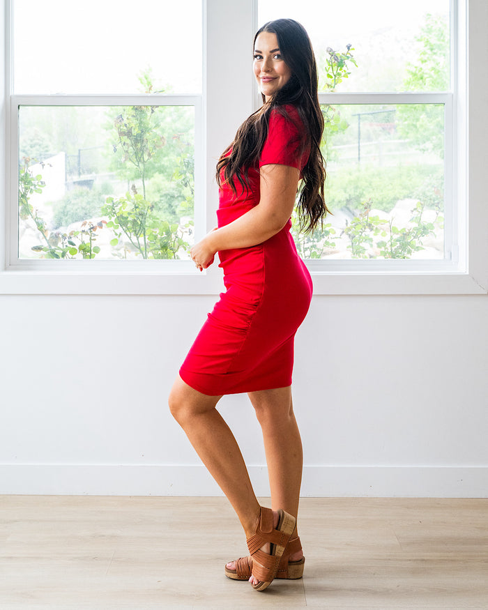 Ampersand Ave Better Than Basics Dress - Red Ampersand Ave