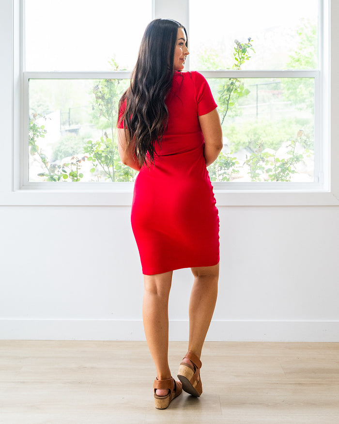 Ampersand Ave Better Than Basics Dress - Red Ampersand Ave