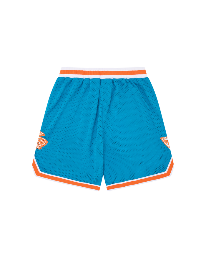 Arch Logo Mesh Sport Shorts