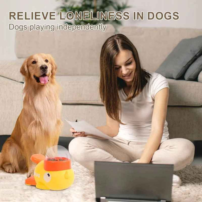 Automatic Pet Feeder - Interactive Solution for Convenient Feeding