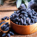 Blue Honeyberry 8 oz Candle