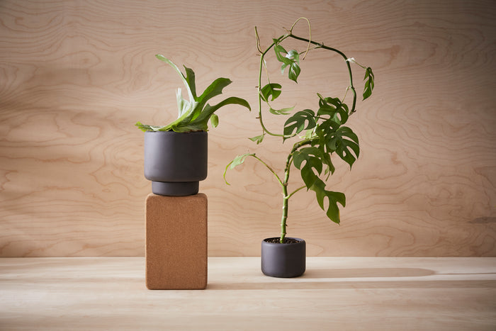 Botany Plant Pot, Large - Black