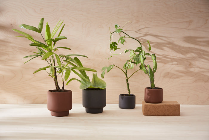 Botany Plant Pot, Large - Black