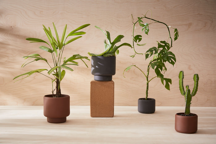 Botany Plant Pot, Large - Black