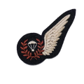 British Air Force WW2 Parachute Jump Instructor Patch - British Army Surplus - Flags, Badges & Insignia