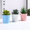 Bulk 3Pcs Artificial Succulent Plants Mini Potted Succulents in Vase Decor for Office Home Wholesale