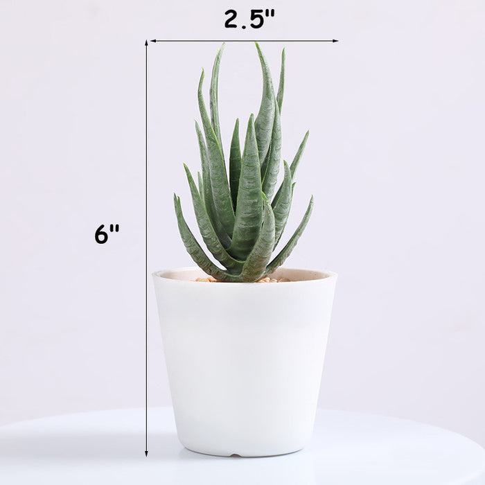 Bulk 3Pcs Artificial Succulent Plants Mini Potted Succulents in Vase Decor for Office Home Wholesale