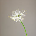 Bulk Bana Stems Mandarava Floral Artificial Flowers Wholesale