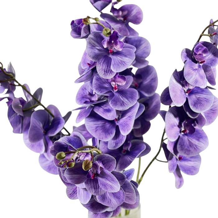 Bulk Exclusive 37" Wisteria Purple Phalaenopsis Orchids Long Stem Silk Flowers Centerpieces Wholesale