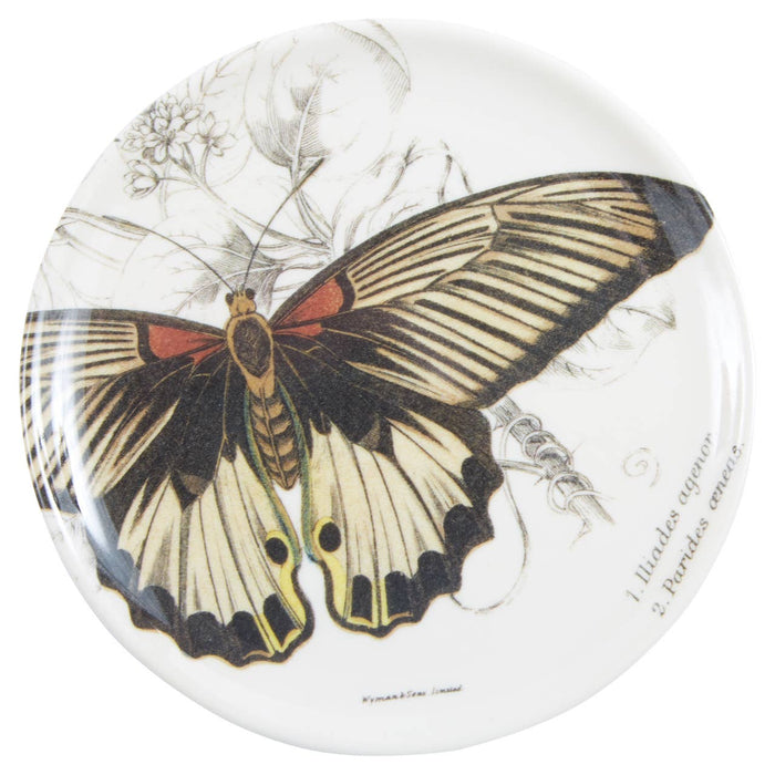 Butterfly Coasters  S/4