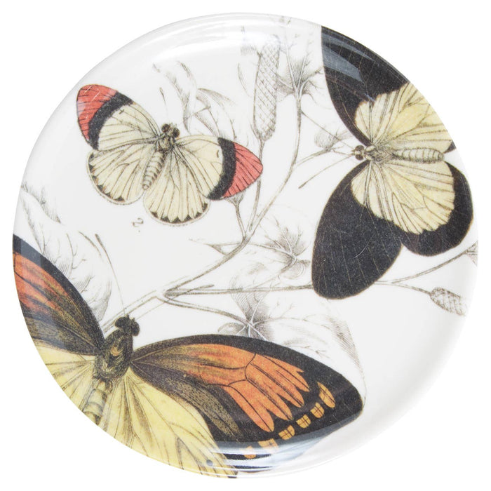 Butterfly Coasters  S/4