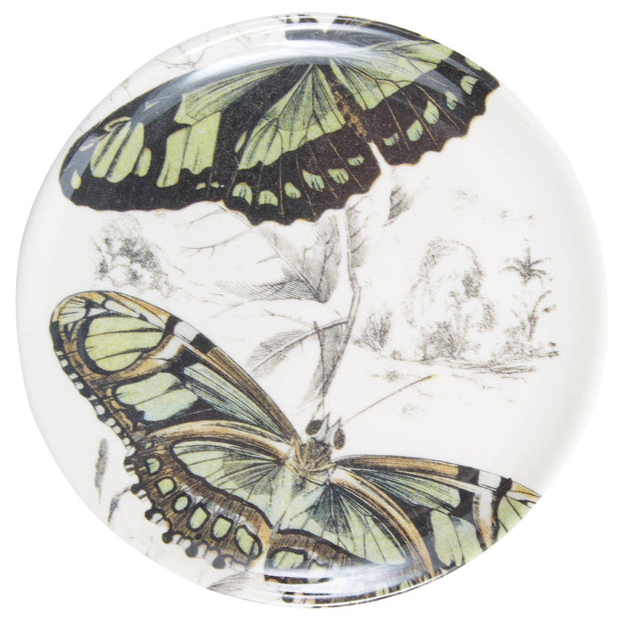 Butterfly Coasters  S/4