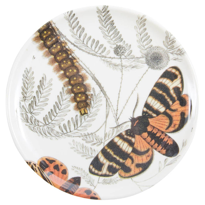 Butterfly Coasters  S/4