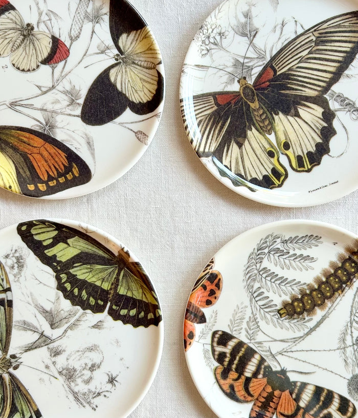 Butterfly Coasters  S/4