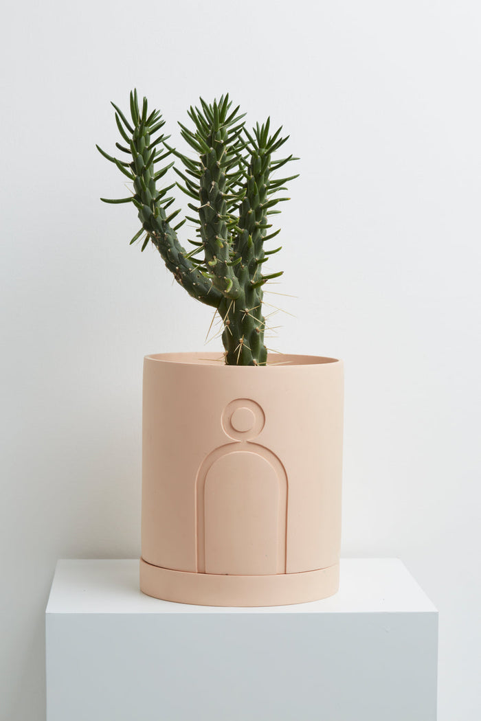 Capra Etch Planters, Salt