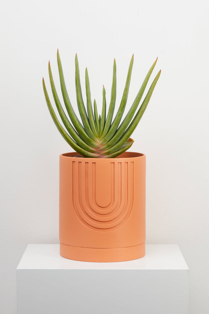Capra Large Etch Planter, Desert - Sold As-Is