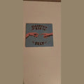 Clean cut kid Felt cd musique