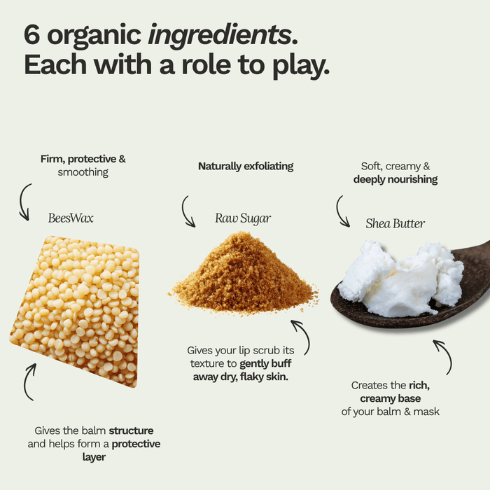 DIY Organic Lip Balm / Care Kit - 3 DIY Projects