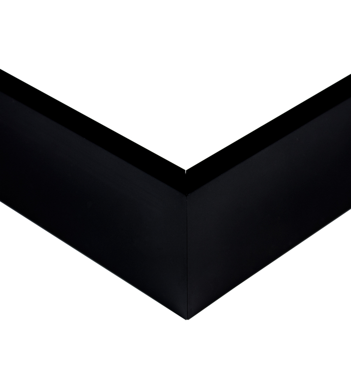 Floating Canvas Frame