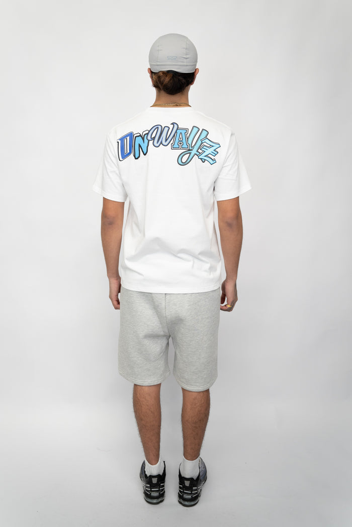 Ice Shorts - Grey