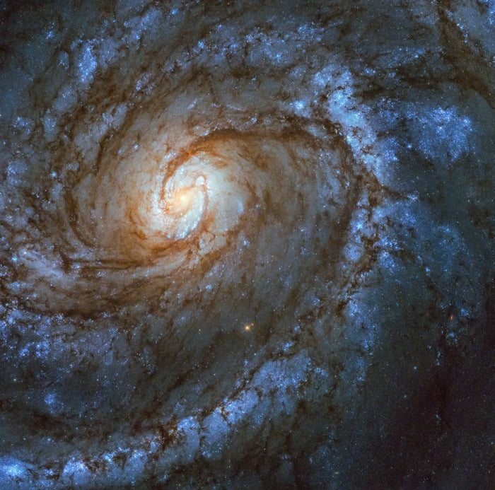Messier 100 (M 100) – Hubble Space Telescope Image