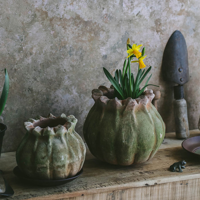 Mini Cast Bronze Plant Frog