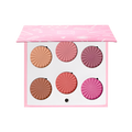 Mini Mix Face Palette - Blushful