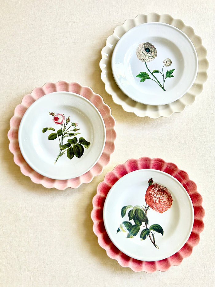 Oyster Dinnerware - Raspberry - S/4