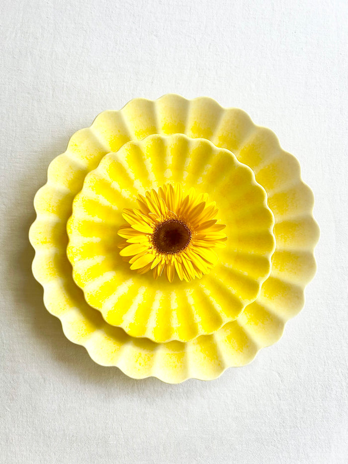 Oyster Dinnerware - Sunny- S/4