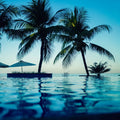 Paradise Found