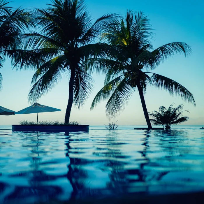 Paradise Found