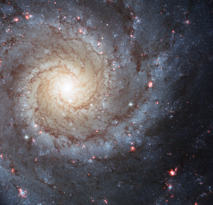 Phantom Galaxy (M74) – Hubble Space Telescope Image