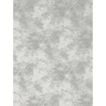Promaster CLOUD DYED BKDRP-12'-LT GREY