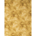 Promaster CLOUD DYED BKDRP-12'-TAN
