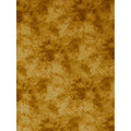 Promaster CLOUD DYED BKDRP-20'-YELLOW
