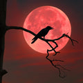 Ravens Ember
