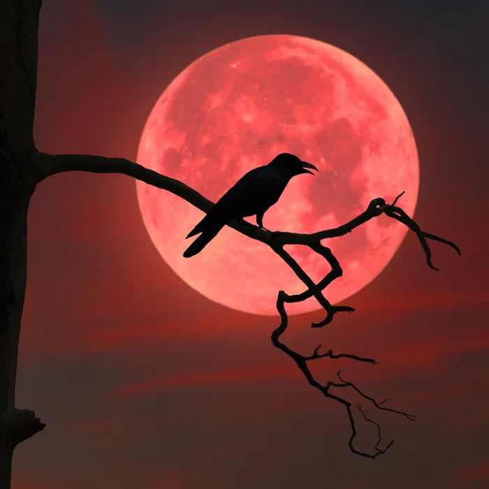Ravens Ember