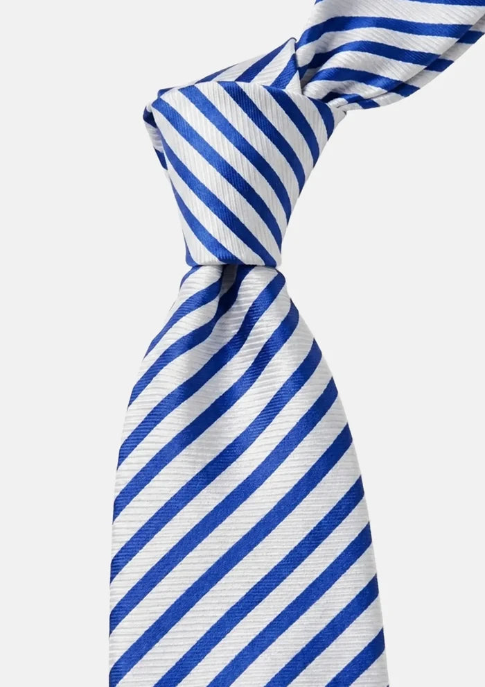 Royal Blue Diagonal Stripe Tie - SARTORO