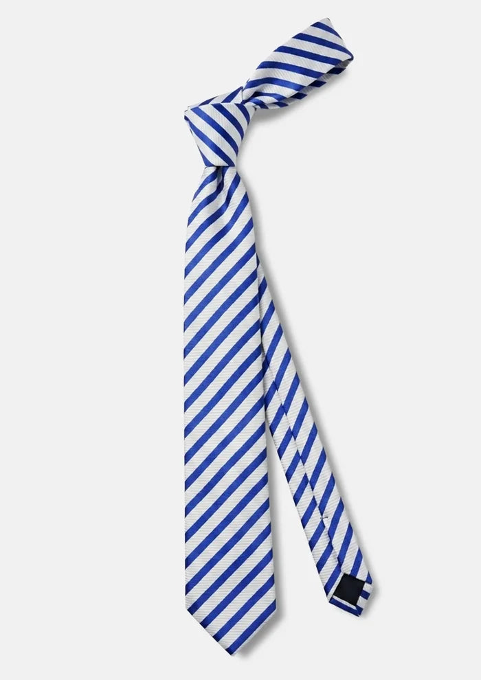 Royal Blue Diagonal Stripe Tie - SARTORO