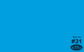 Savage Blue Jay Seamless Paper