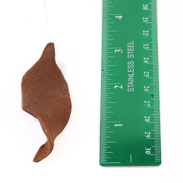 Small Ribbon Tail - Chocolate
