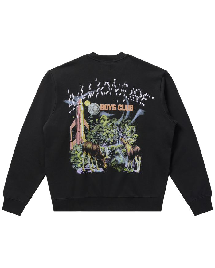 Stellar Sweatshirt