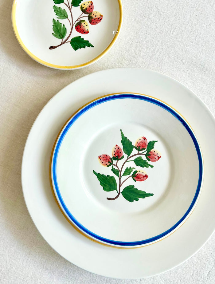 Sweet Berry Dinnerware - S/4