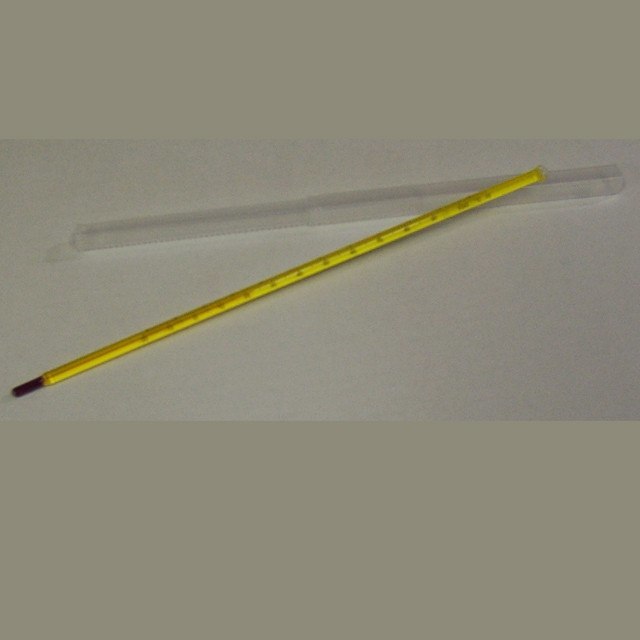Testing Equipment - Thermometer, 12" Laboratory