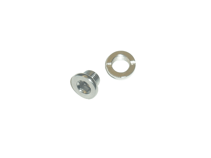 Trek Chainring-Style Derailleur Hanger Fastener, Grey M6 x 6mm