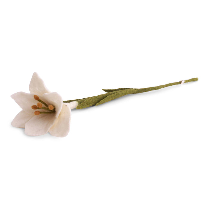 Trumpet Lily Flower - White