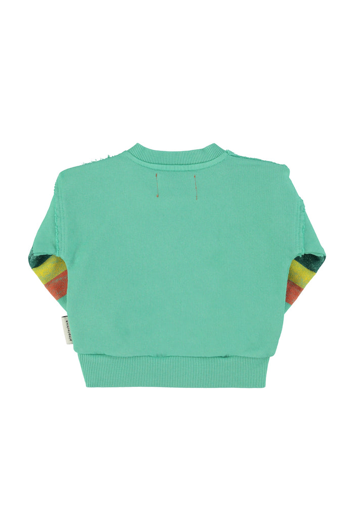 Unisex baby green sweatshirt with multicolor sleeve stripes